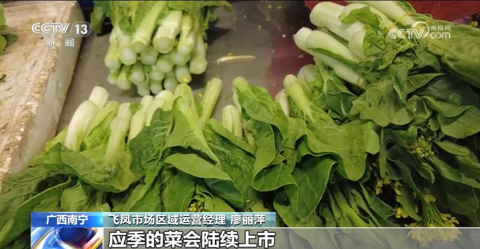 飞凤市场区域运营经理 廖丽萍：秋季的菜确实上来了，原先比较高的菜价落下来很多，应季的菜会陆续上市。