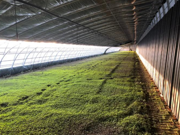 图片3.png 图片3.png