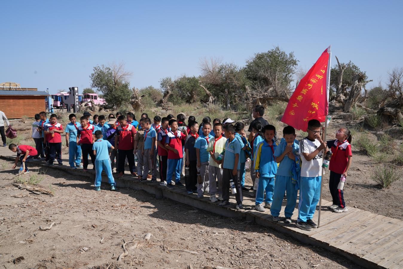 图片7.jpg