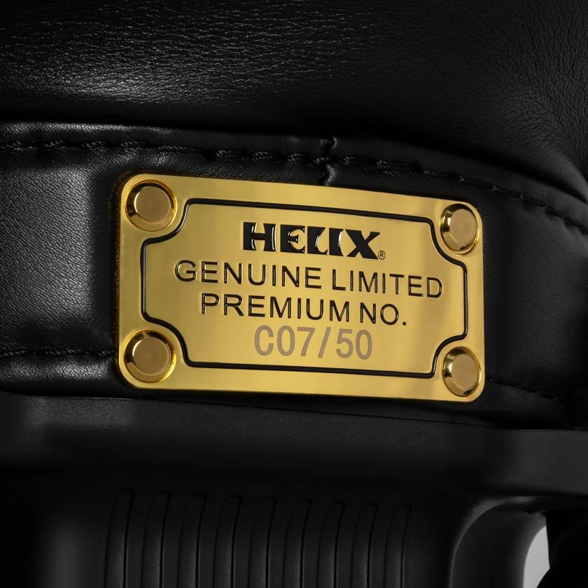 HELIX_Golf_95007_Leather_BlackGold_DT_1x1_04